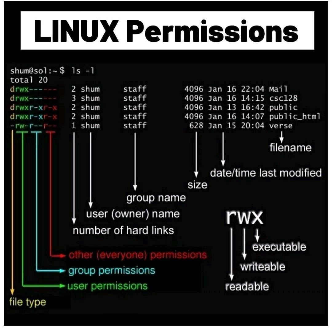 Linux File Permissions